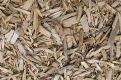 biomass boilers Hardisworthy